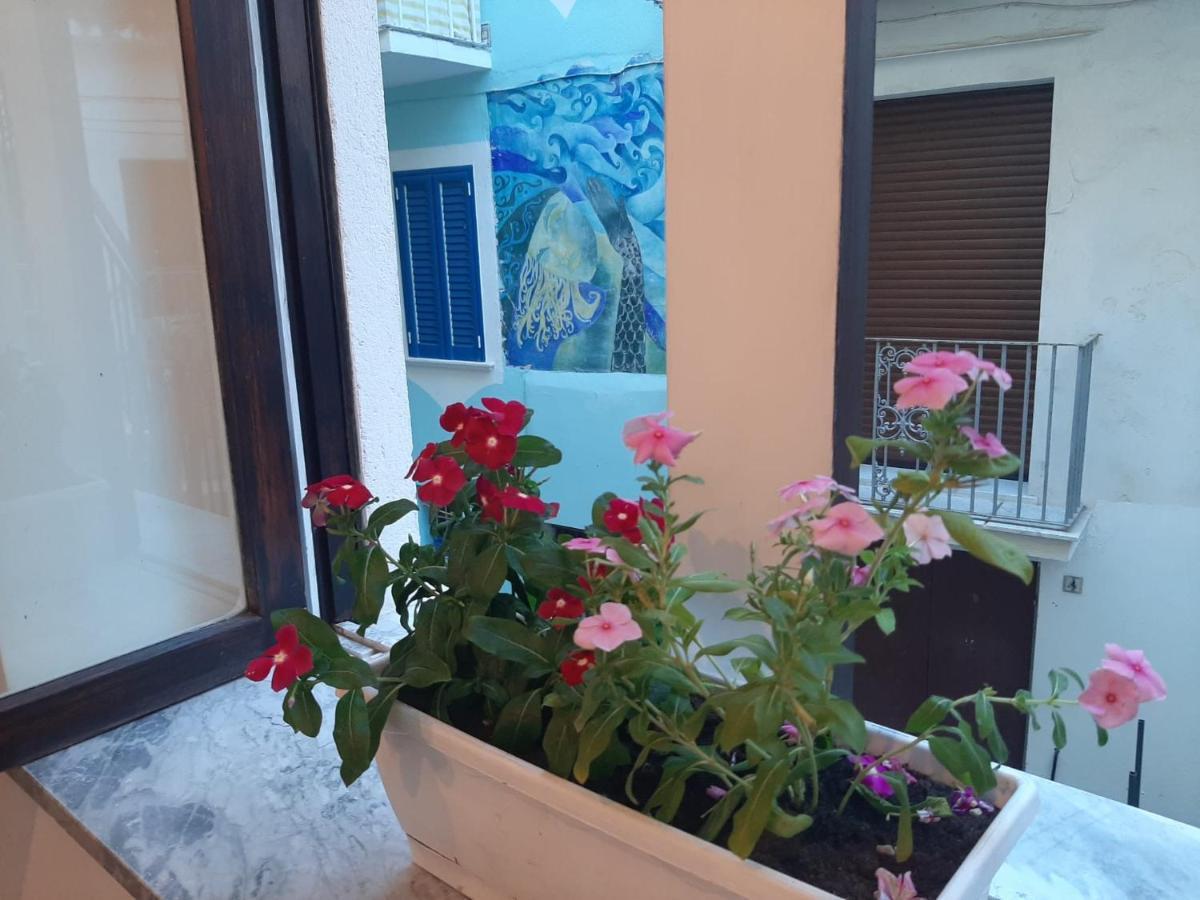 La Vie En Rose - Casa Vacanze Диаманте Екстериор снимка